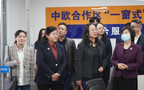 已處理1705042613848現(xiàn)場(chǎng)觀摩了共和鎮(zhèn)中歐合作區(qū)勞動(dòng)關(guān)系公共服務(wù)站 (2).JPG