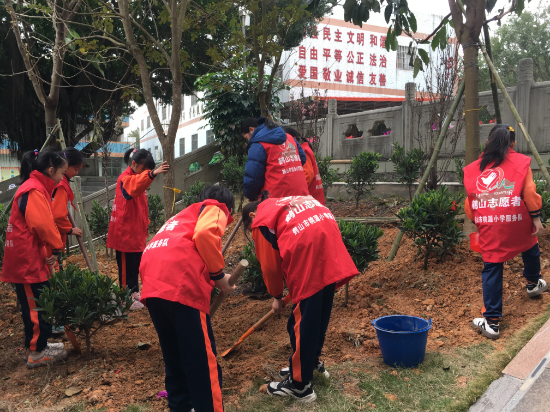 鶴山市桃源鎮(zhèn)桃源小學(xué)開展了植樹志愿服務(wù)的活動(dòng).jpg