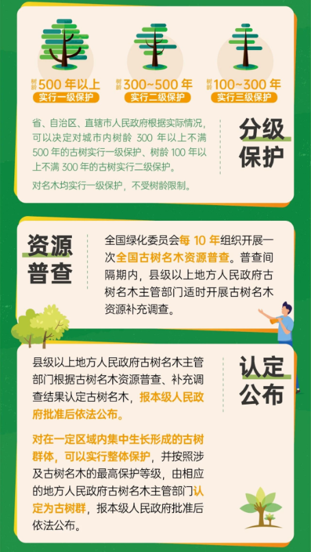 已處理17415678804443.png