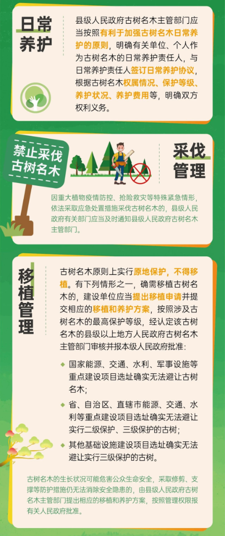 已處理17415678804454.png